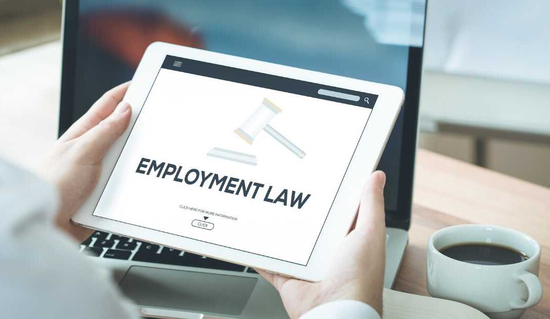 3 Things Every Employee Should Know About Employment Law